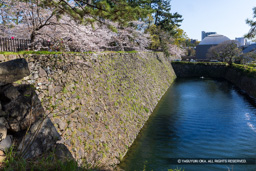 本丸西面石垣 | 高解像度画像サイズ：8192 x 5464 pixels | 写真番号：6F1A5745 | 撮影：Canon EOS R5m2