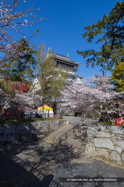 槻門跡から天守 | 高解像度画像サイズ：5464 x 8192 pixels | 写真番号：6F1A5756 | 撮影：Canon EOS R5m2