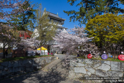 槻門跡から天守 | 高解像度画像サイズ：8192 x 5464 pixels | 写真番号：6F1A5759 | 撮影：Canon EOS R5m2