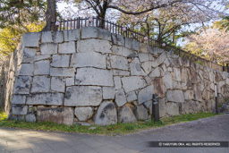 槻門跡下部に見られる築造当時の石垣 | 高解像度画像サイズ：8192 x 5464 pixels | 写真番号：6F1A5833 | 撮影：Canon EOS R5m2
