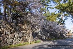 鉄門跡 | 高解像度画像サイズ：8192 x 5464 pixels | 写真番号：6F1A5842 | 撮影：Canon EOS R5m2