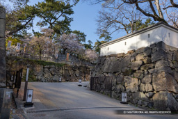 大手門跡 | 高解像度画像サイズ：8192 x 5464 pixels | 写真番号：6F1A5860 | 撮影：Canon EOS R5m2