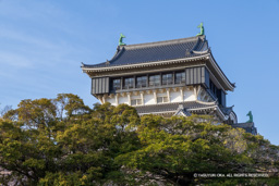天守最上階 | 高解像度画像サイズ：8192 x 5464 pixels | 写真番号：6F1A5868 | 撮影：Canon EOS R5m2