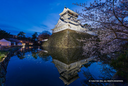 小倉城ライトアップ・夜桜 | 高解像度画像サイズ：8192 x 5464 pixels | 写真番号：6F1A5901 | 撮影：Canon EOS R5m2