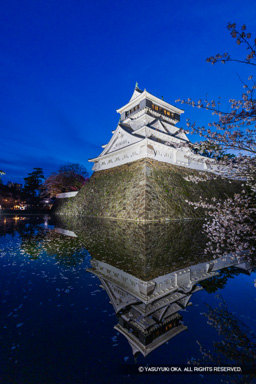 小倉城ライトアップ・夜桜 | 高解像度画像サイズ：5464 x 8192 pixels | 写真番号：6F1A5934 | 撮影：Canon EOS R5m2
