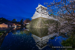 小倉城ライトアップ・夜桜 | 高解像度画像サイズ：8192 x 5464 pixels | 写真番号：6F1A5947 | 撮影：Canon EOS R5m2