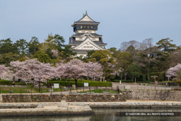 紫川と天守 | 高解像度画像サイズ：7690 x 5129 pixels | 写真番号：6F1A5966 | 撮影：Canon EOS R5m2