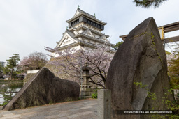 八坂神社 一の鳥居前の巨石 | 高解像度画像サイズ:8192 x 5464 pixels | 写真番号:6F1A5983 | 撮影:Canon EOS R5m2