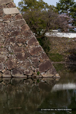 天守台石垣 | 高解像度画像サイズ：4947 x 7416 pixels | 写真番号：6F1A5993 | 撮影：Canon EOS R5m2