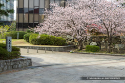 大手先門跡 | 高解像度画像サイズ：7909 x 5276 pixels | 写真番号：6F1A5996 | 撮影：Canon EOS R5m2