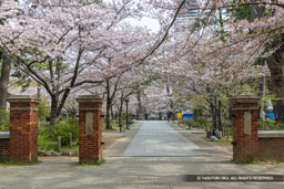 旧十二師団司令部の正門跡 | 高解像度画像サイズ：8192 x 5464 pixels | 写真番号：6F1A6006 | 撮影：Canon EOS R5m2