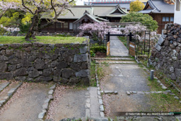 多聞口門跡 | 高解像度画像サイズ：7205 x 4806 pixels | 写真番号：6F1A6031 | 撮影：Canon EOS R5m2