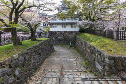 多聞口門虎口 | 高解像度画像サイズ：8192 x 5464 pixels | 写真番号：6F1A6034 | 撮影：Canon EOS R5m2