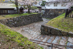 多聞口門虎口 | 高解像度画像サイズ：8192 x 5464 pixels | 写真番号：6F1A6036 | 撮影：Canon EOS R5m2