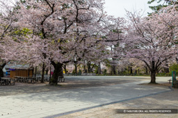 本丸跡 | 高解像度画像サイズ：7672 x 5117 pixels | 写真番号：6F1A6046 | 撮影：Canon EOS R5m2