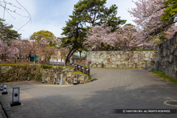 大手門跡から槻門跡 | 高解像度画像サイズ：8192 x 5464 pixels | 写真番号：6F1A6059 | 撮影：Canon EOS R5m2