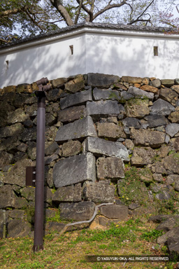 本丸石垣シノギ角 | 高解像度画像サイズ：5464 x 8192 pixels | 写真番号：6F1A6076 | 撮影：Canon EOS R5m2