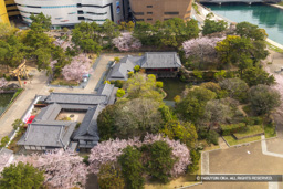 北九州市役所の展望フロアから見る小倉城庭園 | 高解像度画像サイズ：8192 x 5464 pixels | 写真番号：6F1A6086 | 撮影：Canon EOS R5m2