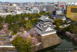 北九州市役所の展望フロアから見る天守 | 高解像度画像サイズ：8192 x 5464 pixels | 写真番号：6F1A6094 | 撮影：Canon EOS R5m2