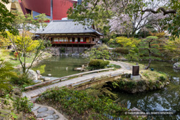 池泉回遊式庭園 | 高解像度画像サイズ：8192 x 5464 pixels | 写真番号：6F1A6125 | 撮影：Canon EOS R5m2