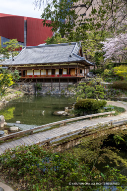 池泉回遊式庭園 | 高解像度画像サイズ：5464 x 8192 pixels | 写真番号：6F1A6143 | 撮影：Canon EOS R5m2