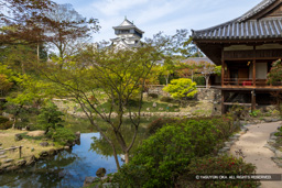 池泉回遊式庭園と天守 | 高解像度画像サイズ：7735 x 5159 pixels | 写真番号：6F1A6163 | 撮影：Canon EOS R5m2