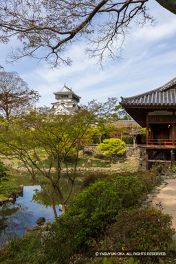 池泉回遊式庭園と天守 | 高解像度画像サイズ：5464 x 8192 pixels | 写真番号：6F1A6166 | 撮影：Canon EOS R5m2