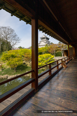 小倉城庭園から見る天守 | 高解像度画像サイズ：5464 x 8192 pixels | 写真番号：6F1A6183 | 撮影：Canon EOS R5m2