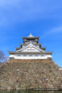 小倉城天守東面 | 高解像度画像サイズ：5464 x 8192 pixels | 写真番号：6F1A6249 | 撮影：Canon EOS R5m2