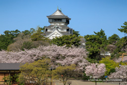 紫川から見る天守 | 高解像度画像サイズ：7411 x 4943 pixels | 写真番号：6F1A6278 | 撮影：Canon EOS R5m2