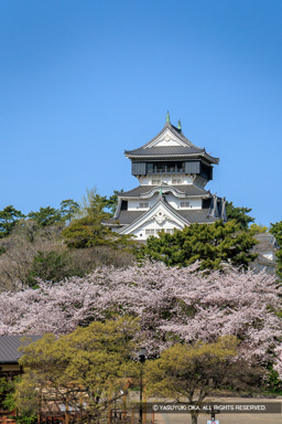 紫川から見る天守 | 高解像度画像サイズ：4232 x 6345 pixels | 写真番号：6F1A6280 | 撮影：Canon EOS R5m2