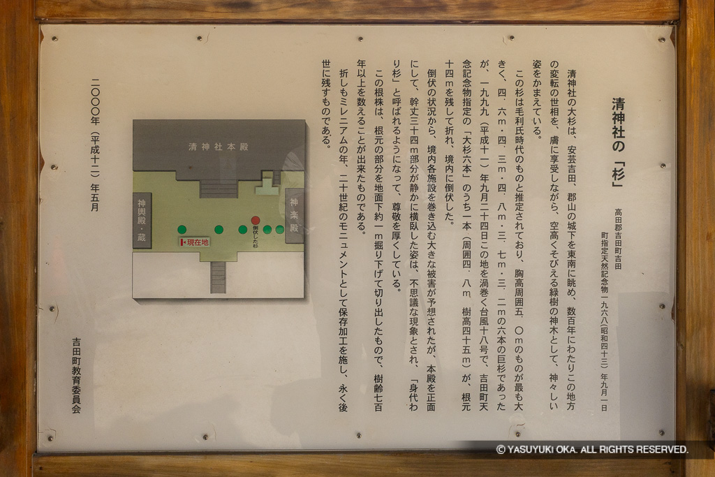 清神社の杉の歴史解説板