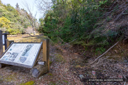 郡山城内掘（薬研堀）跡 | 高解像度画像サイズ：8192 x 5464 pixels | 写真番号：6F1A4277 | 撮影：Canon EOS R5m2