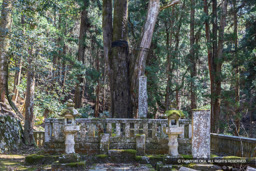 毛利元就墓所 | 高解像度画像サイズ：5679 x 3788 pixels | 写真番号：6F1A4297 | 撮影：Canon EOS R5m2