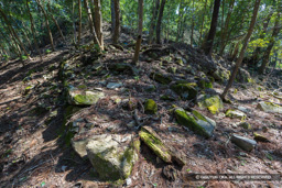 三の丸石垣跡 | 高解像度画像サイズ：8192 x 5464 pixels | 写真番号：6F1A4329 | 撮影：Canon EOS R5m2