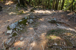 三の丸内の登城路 | 高解像度画像サイズ：8192 x 5464 pixels | 写真番号：6F1A4336 | 撮影：Canon EOS R5m2