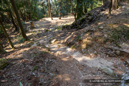 三の丸内の登城路 | 高解像度画像サイズ：8192 x 5464 pixels | 写真番号：6F1A4341 | 撮影：Canon EOS R5m2