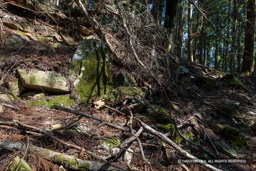 三の丸石垣跡の立石 | 高解像度画像サイズ：8192 x 5464 pixels | 写真番号：6F1A4354 | 撮影：Canon EOS R5m2