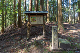 釣井壇跡 | 高解像度画像サイズ：8192 x 5464 pixels | 写真番号：6F1A4415 | 撮影：Canon EOS R5m2
