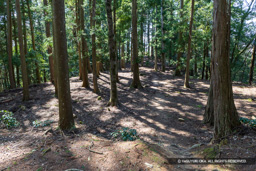 勢溜の壇跡 | 高解像度画像サイズ：8192 x 5464 pixels | 写真番号：6F1A4419 | 撮影：Canon EOS R5m2