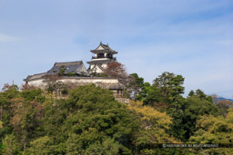 遠景｜高解像度画像サイズ：5184 x 3456 pixels｜写真番号：1DXL8690｜撮影：Canon EOS-1D X