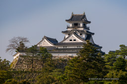 天守と本丸御殿｜高解像度画像サイズ：3096 x 2060 pixels｜写真番号：53BS8450｜撮影：Canon EOS-1DS