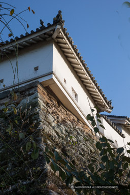本丸からせり出した北多聞櫓|高解像度画像サイズ:3456 x 5184 pixels|写真番号:1DXL8200|撮影:Canon EOS-1D X