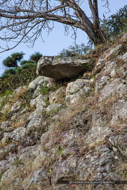 二ノ丸の石樋｜高解像度画像サイズ：3456 x 5184 pixels｜写真番号：1DXL8209｜撮影：Canon EOS-1D X