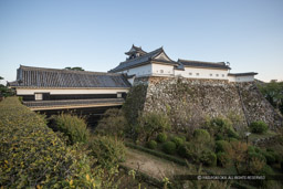 二ノ丸から高知城本丸を望む|高解像度画像サイズ:4909 x 3272 pixels|写真番号:1DXL8216|撮影:Canon EOS-1D X