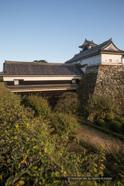 二ノ丸から高知城本丸を望む｜高解像度画像サイズ：3065 x 4598 pixels｜写真番号：1DXL8223｜撮影：Canon EOS-1D X