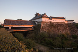 高知城の夕景｜高解像度画像サイズ：5148 x 3432 pixels｜写真番号：1DXL8326｜撮影：Canon EOS-1D X