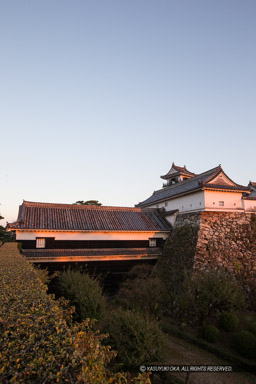 高知城の夕景｜高解像度画像サイズ：3357 x 5036 pixels｜写真番号：1DXL8330｜撮影：Canon EOS-1D X