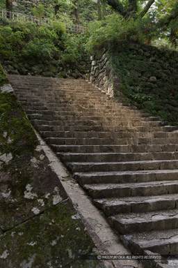 綿倉門への石段｜高解像度画像サイズ：3298 x 4947 pixels｜写真番号：1DXL8732｜撮影：Canon EOS-1D X