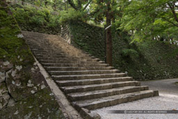 綿倉門への石段｜高解像度画像サイズ：5184 x 3456 pixels｜写真番号：1DXL8734｜撮影：Canon EOS-1D X